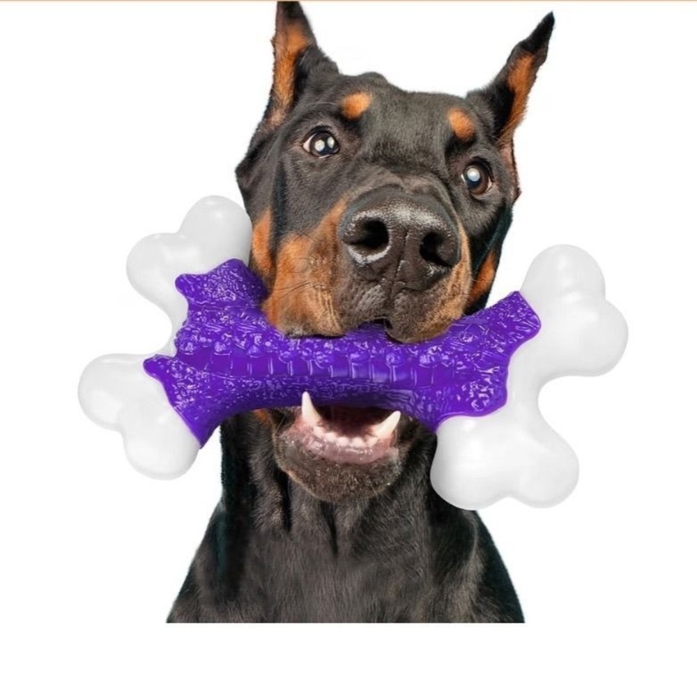 Durable Dog Chew Toy for Aggressive Chewers Large Breed Bone Purple White